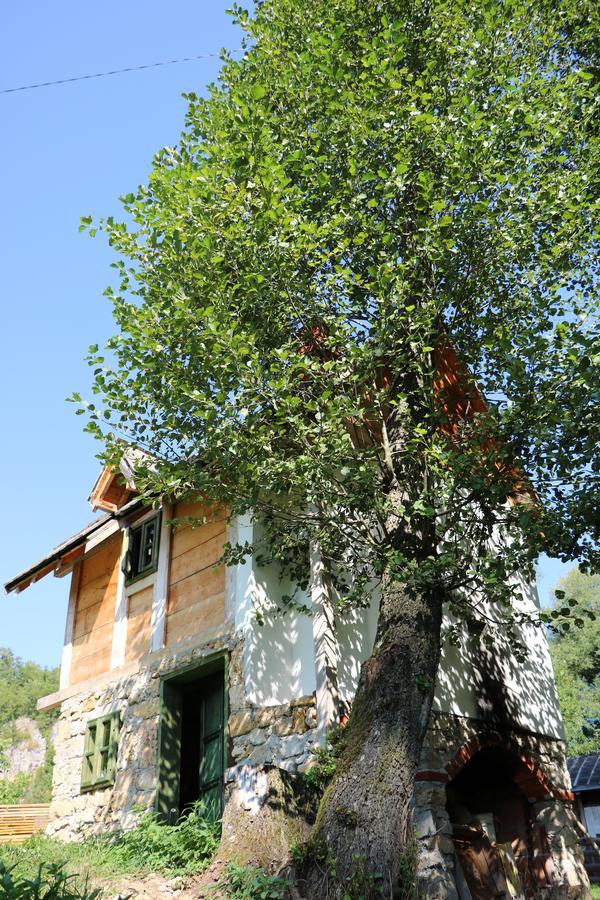 Отель Eco Camp Dzogaska Vrela Плевля Экстерьер фото