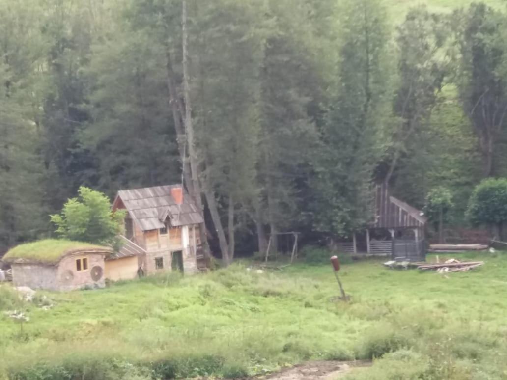 Отель Eco Camp Dzogaska Vrela Плевля Экстерьер фото